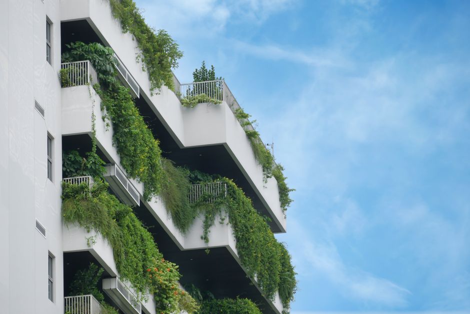Transformă-ți casa într-un spațiu verde: Ghidul complet pentru grădinăritul urban