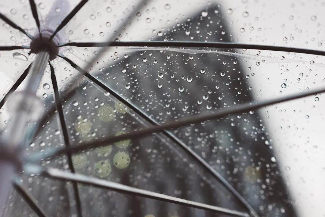 Photo Rainy day