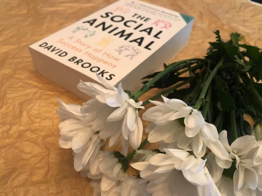 Cum să îți îmbunătățești viața socială cu pași mici Photo "How to improve your social life with small steps"