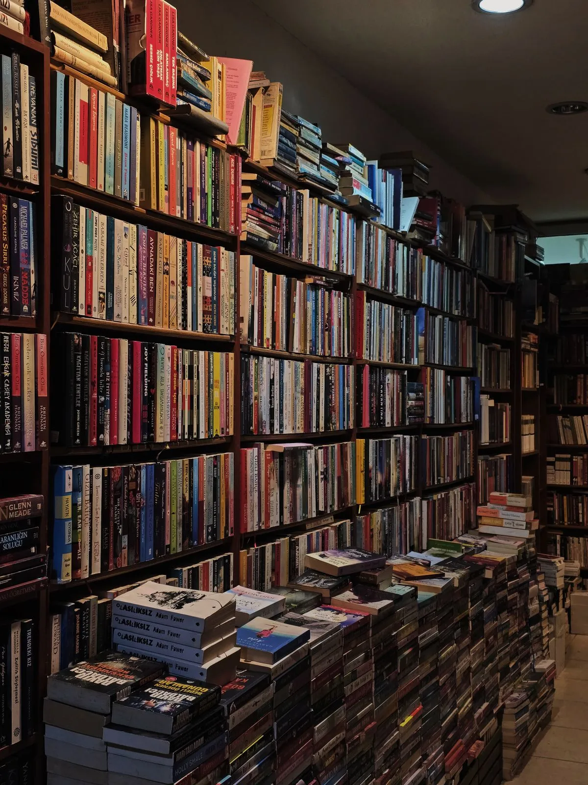 Rafturi de biblioteca pline cu carti vechi si dictionare deschise