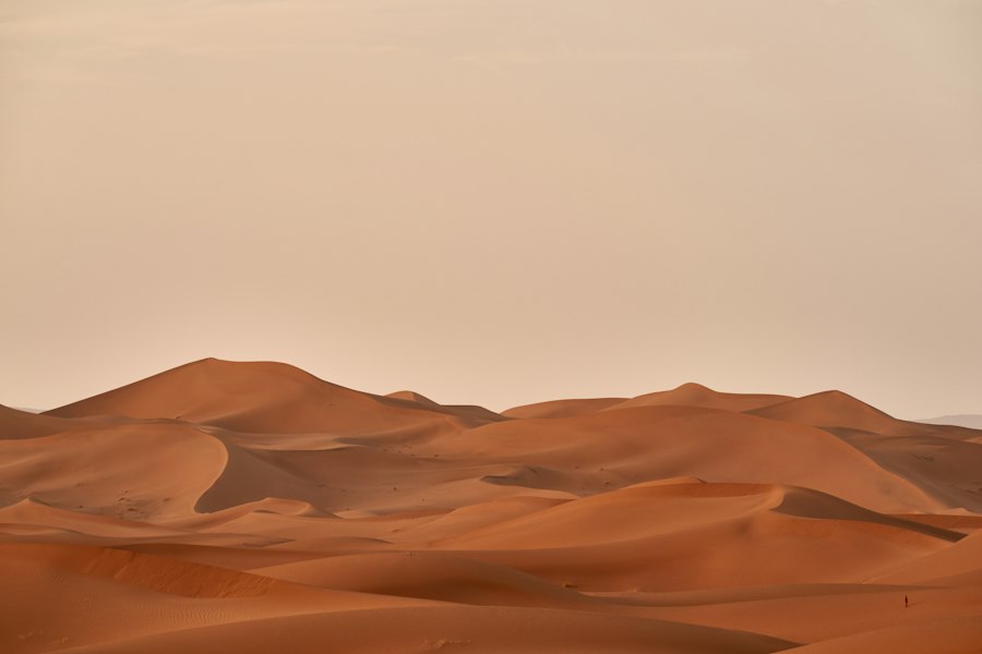 Photo desert